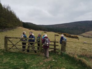 IMG_20250409_125013406