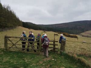 IMG_20250409_125013406