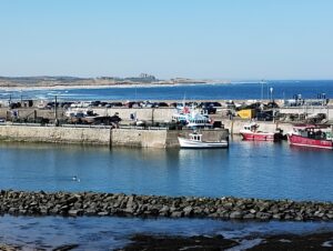 IMG_20250410_131342939